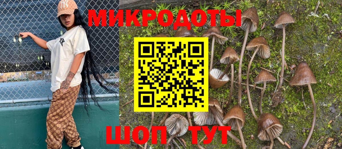 Псилоцибиновые грибы мицелий  Ногинск  Галлюциногенные грибы Magic Shrooms 