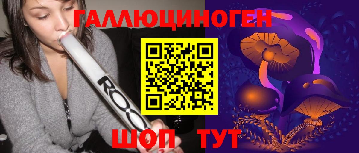 Псилоцибиновые грибы Psilocybe Ногинск